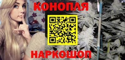 гидра Кингисепп