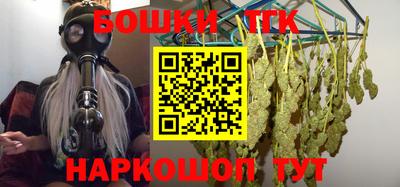 гидра Кингисепп