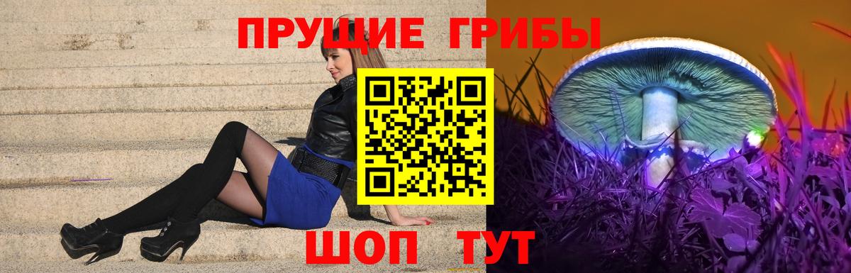 Галлюциногенные грибы прущие грибы Кудымкар