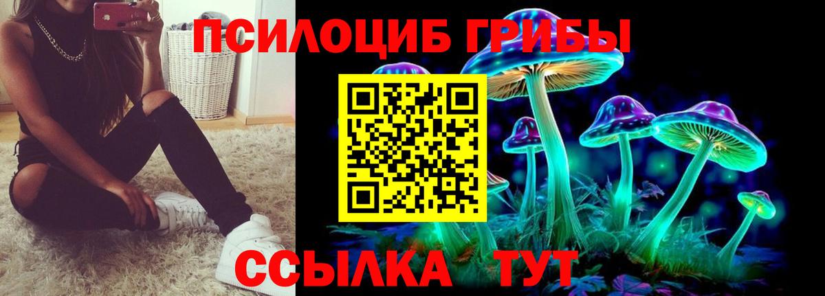 Кудымкар  Псилоцибиновые грибы Cubensis  Галлюциногенные грибы Psilocybine cubensis  Вход с VPN 